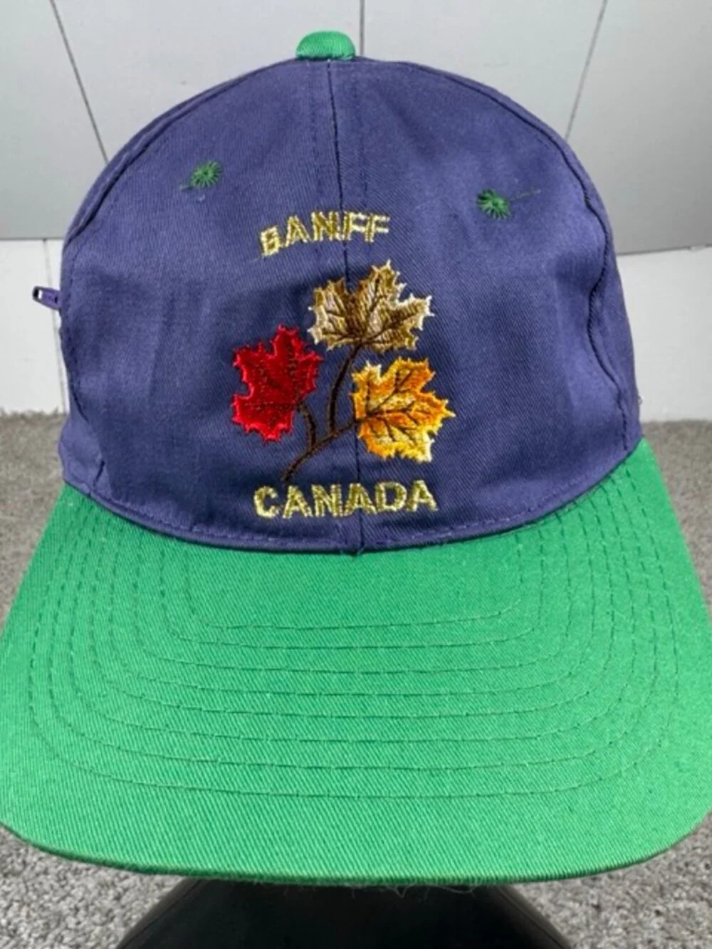 Vintage 90’s Banff Canada Leaves Baseball Hat Cap National Park Fall Autumn